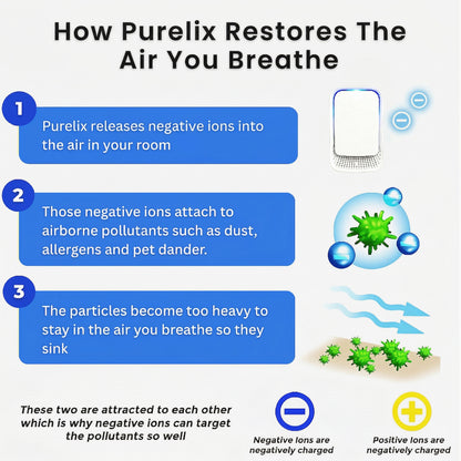 Ion Air Purifier